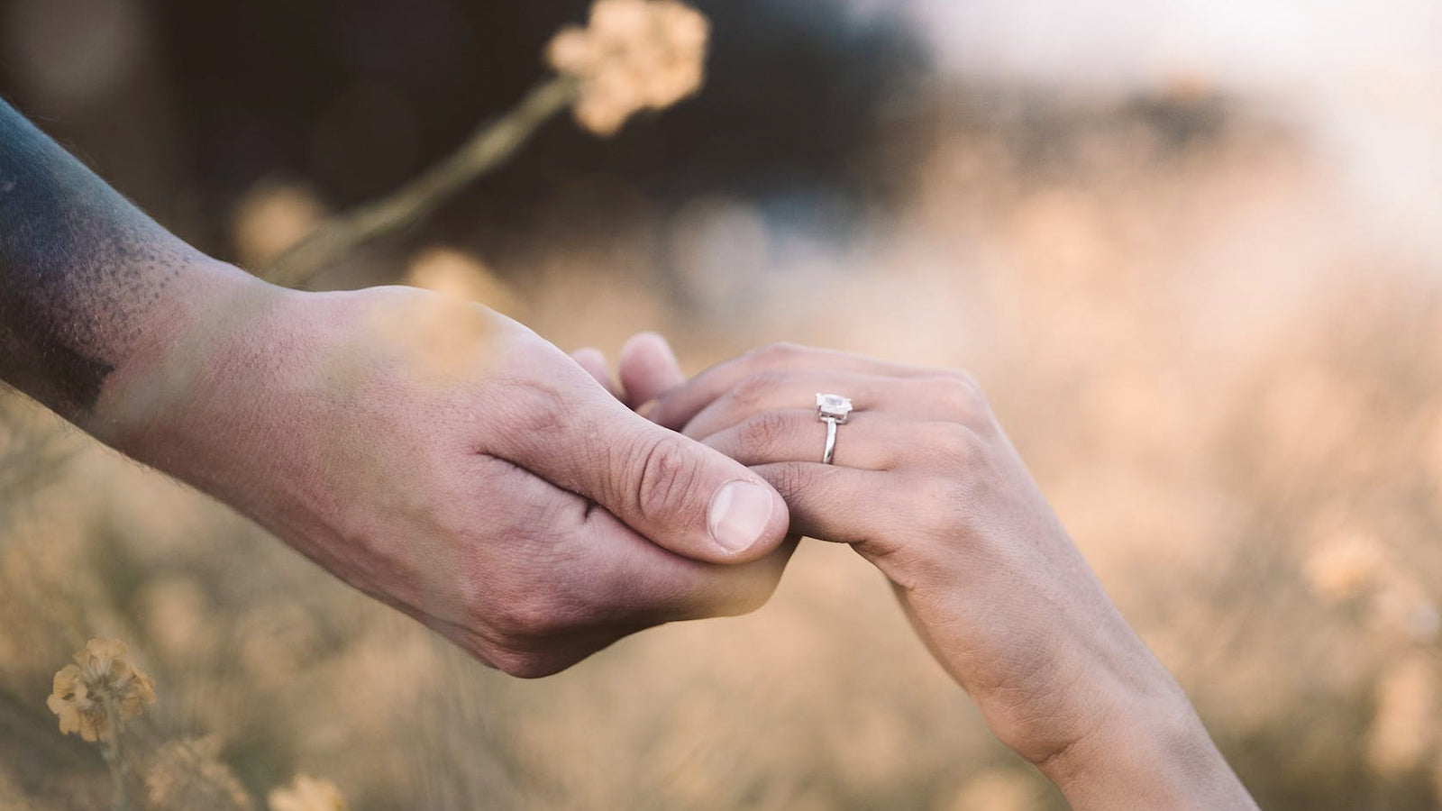 http://www.shimansky.co.za/cdn/shop/articles/6-STEPS-TO-THE-PERFECT-PROPOSAL-Cover.jpg?v=1701926960&width=2048